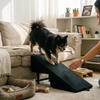 2-in-1 Convertible Dog Ramp and Step Stool lifestyle photo