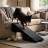 2-in-1 Convertible Dog Ramp and Step Stool lifestyle photo