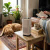 Pet Air Purifier lifestyle photo