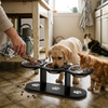 Elevated Cat Bowl with 3 Stainless Steel Dishes lifestyle photo