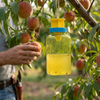 Reusable Fruit Fly Catcher Bottle lifestyle photo