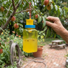 Reusable Fruit Fly Catcher Bottle lifestyle photo
