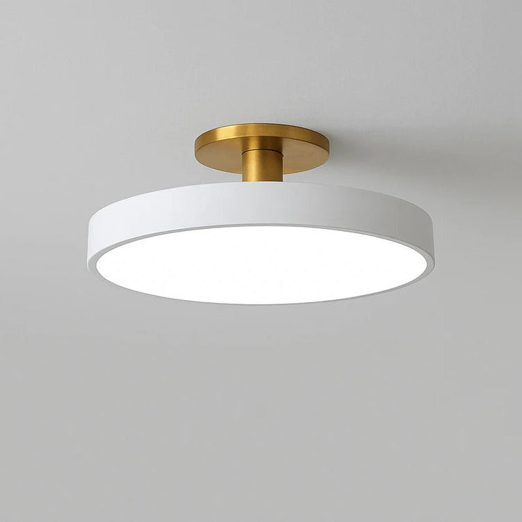 LED Ceiling Light