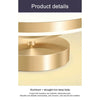 LED Ceiling Light Fixture
