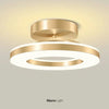 LED Ceiling Light Fixture