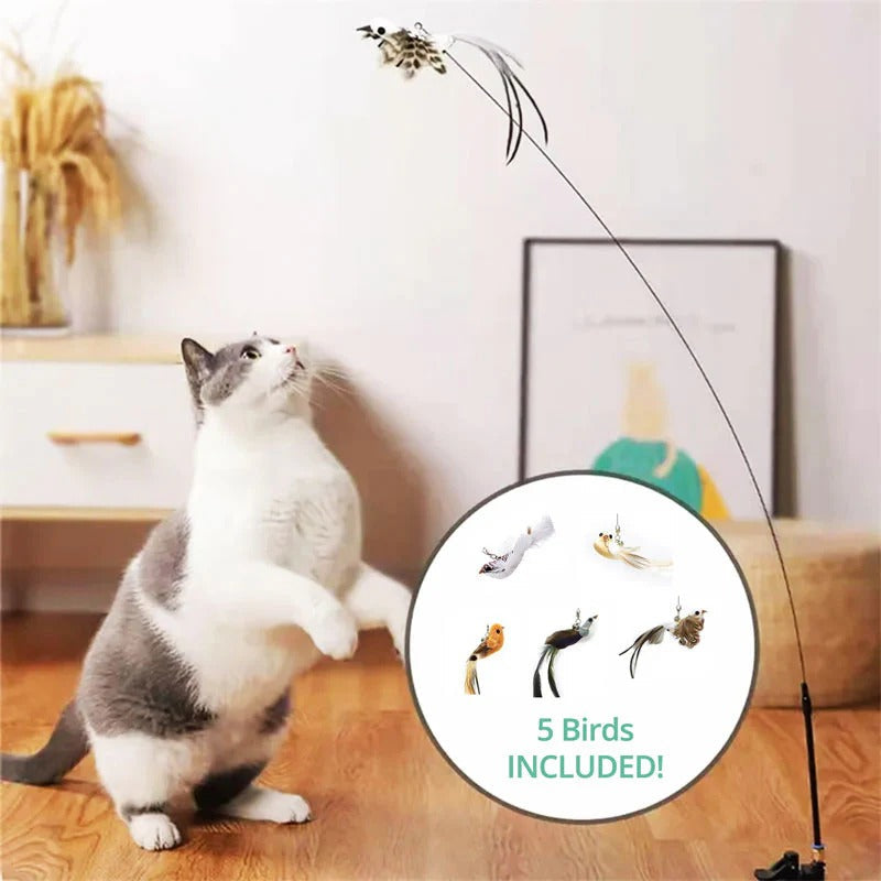 Movement Cats Take Seriously