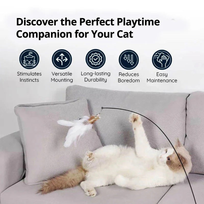 Play Without You Holding It