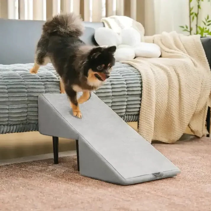 Traction Where Paws Land