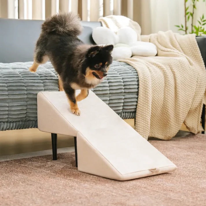 Ramp Or Step Stool