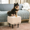 2-in-1 Convertible Dog Ramp and Step Stool
