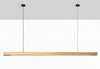 LED Pendant Light