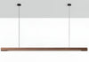 LED Pendant Light
